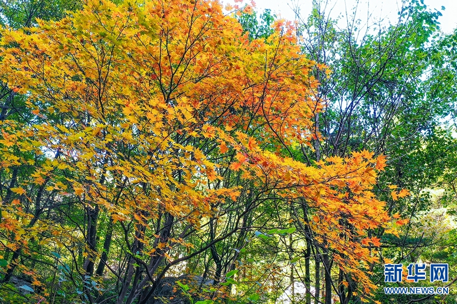 平頂山堯山：晚秋別樣美