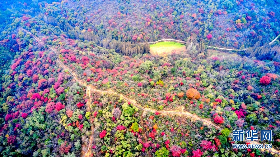 河南濟源：秋染南山 色彩斑斕