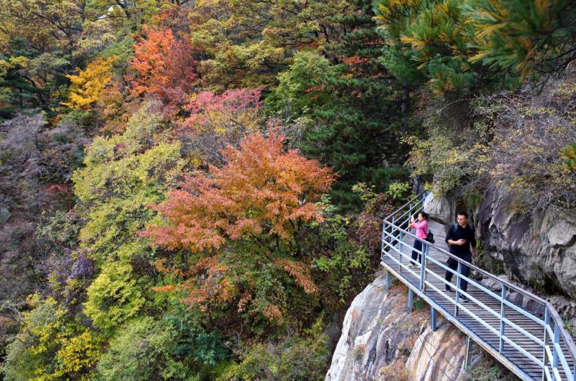 領略“中原獨秀” 河南堯山紅葉節開幕