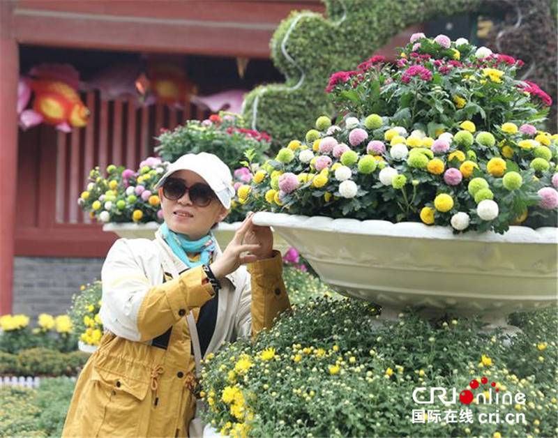 中國開封第十屆國際菊花展在清明上河園開幕_fororder_遊客拍照留影 攝影 萬慶麗.JPG