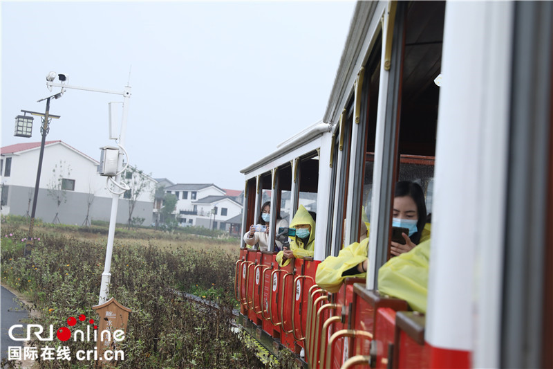 民房變民宿 村莊變景區 鄉村振興請看開封余店村_fororder_“網紅”小火車 攝影 萬慶麗.JPG