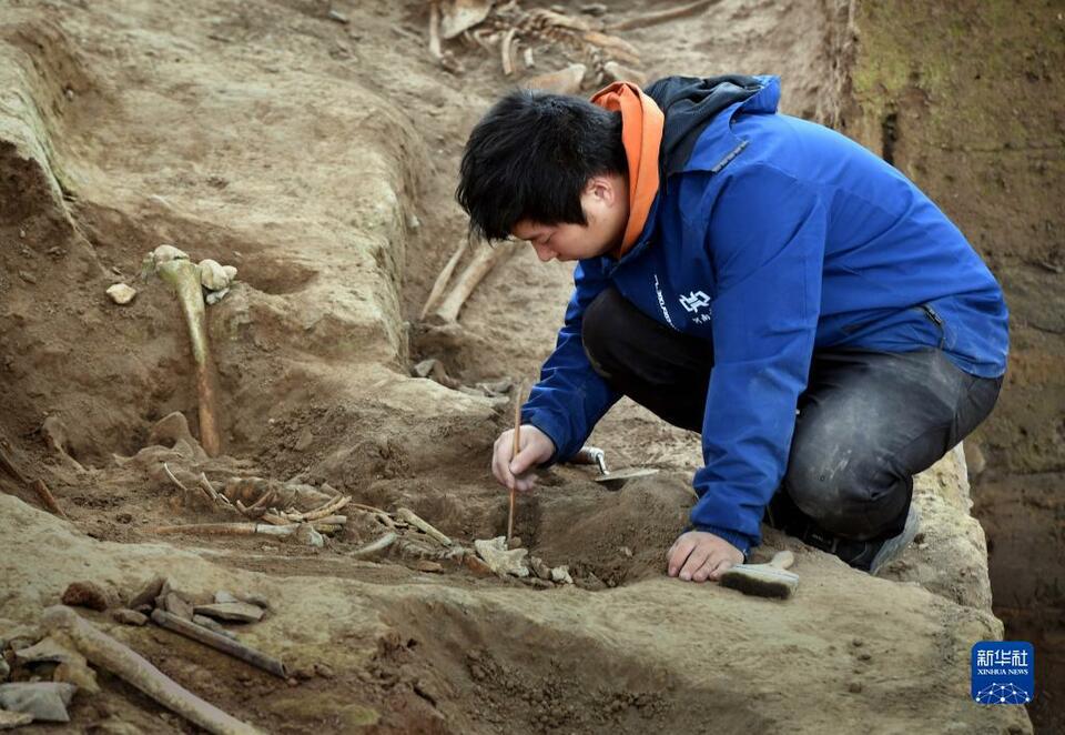 打卡仰韶村國家考古遺址公園