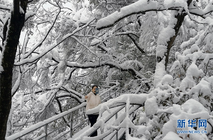 平頂山魯山：堯山雪景美如畫