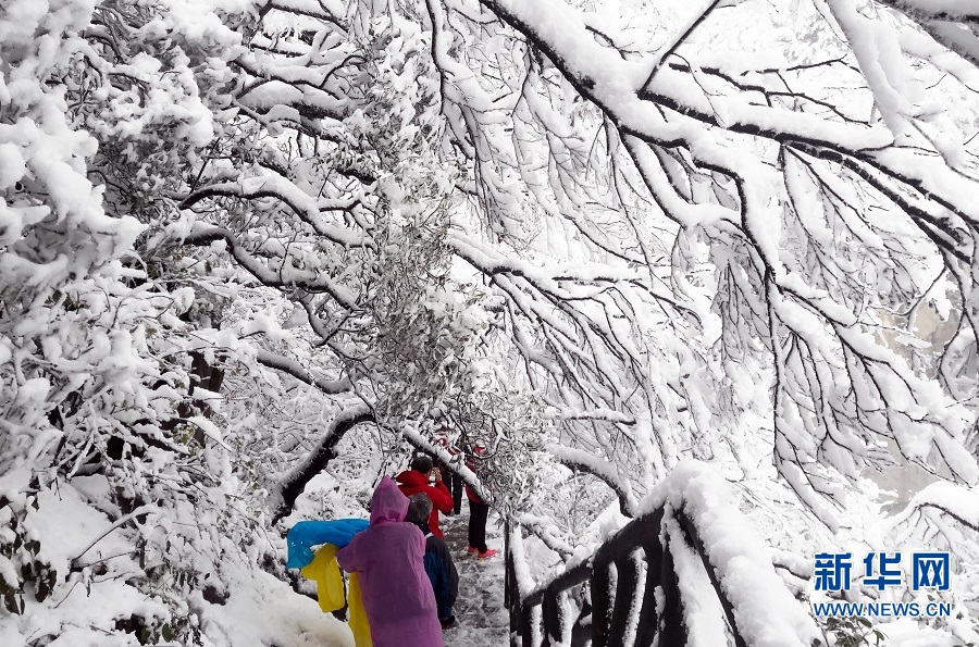 平頂山魯山：堯山雪景美如畫