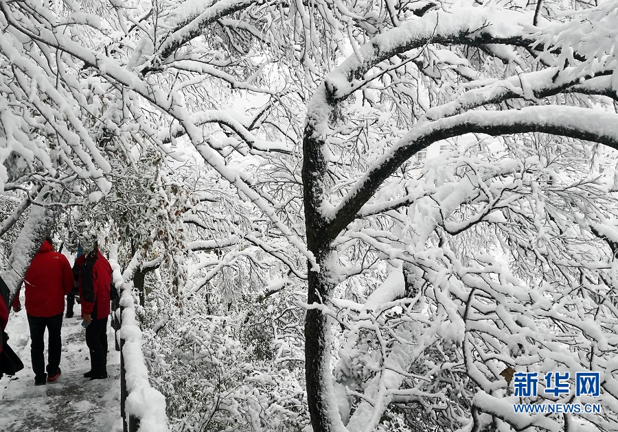 平頂山魯山：堯山雪景美如畫