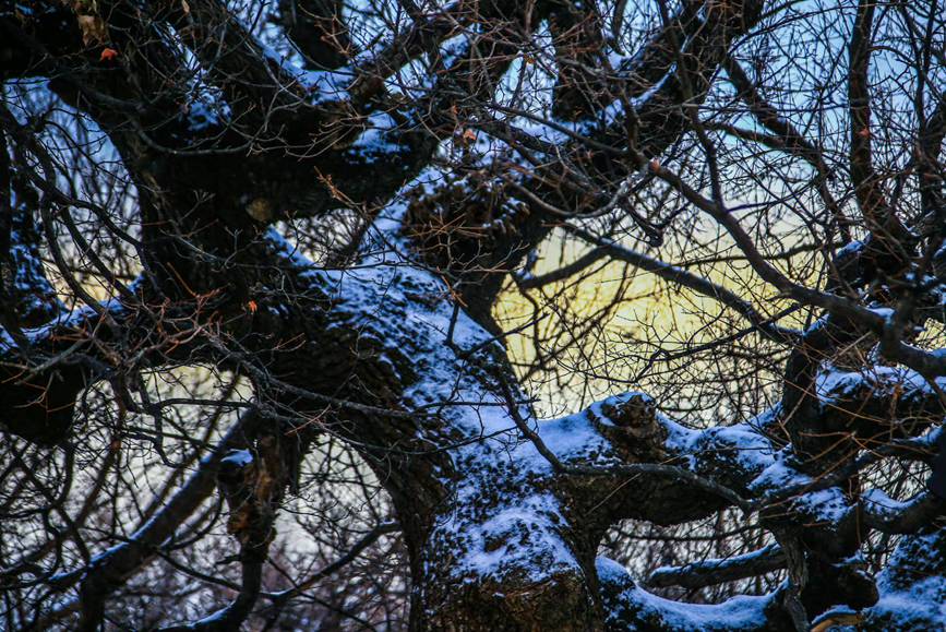 河南雲臺山：半山紅葉半山雪