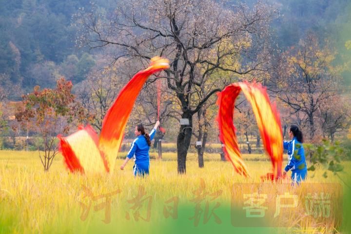 河南信陽：多彩鄉村裏羅城