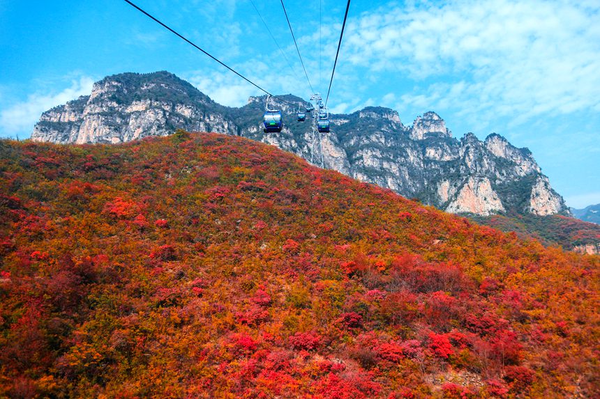 雲臺山迎來紅葉最佳觀賞期 全國遊客預約免門票