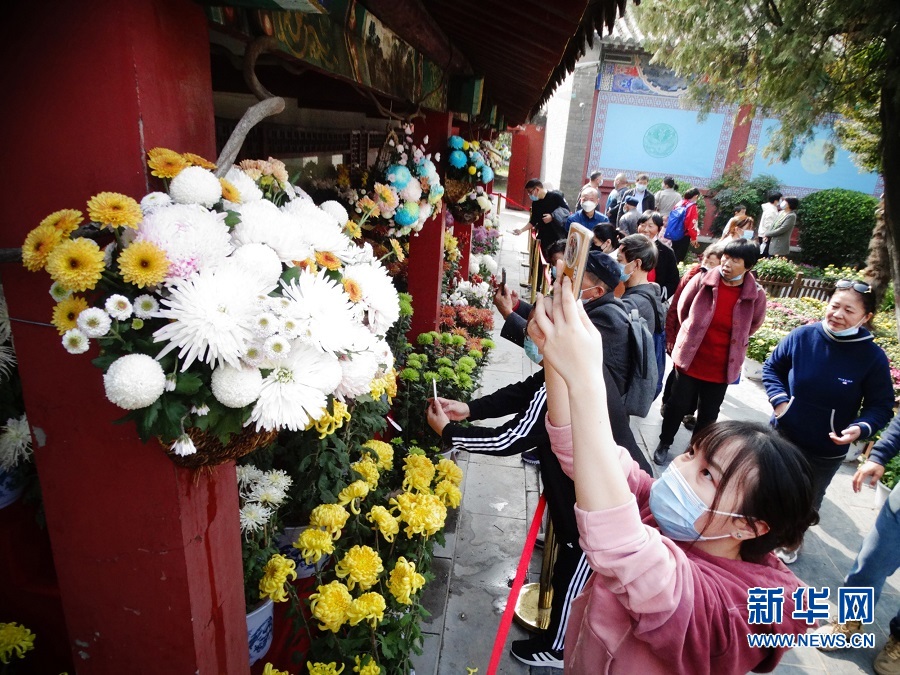 河南開封：金秋菊香遊人樂