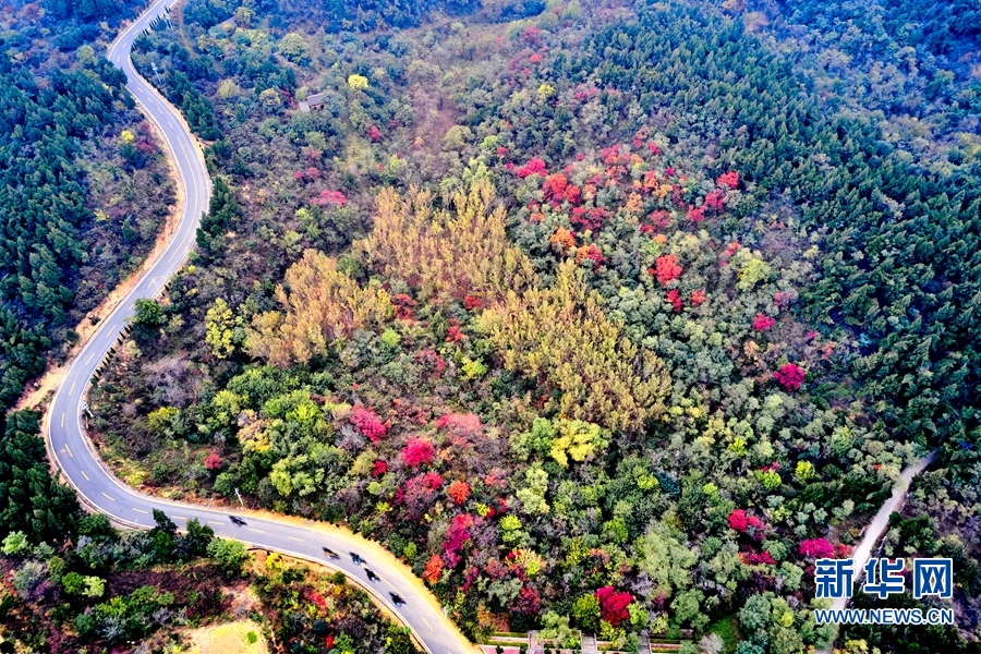 河南濟源：秋染南山 色彩斑斕