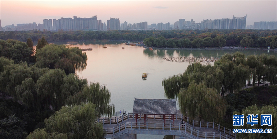 河南洛陽：“城市綠肺”秋色怡人