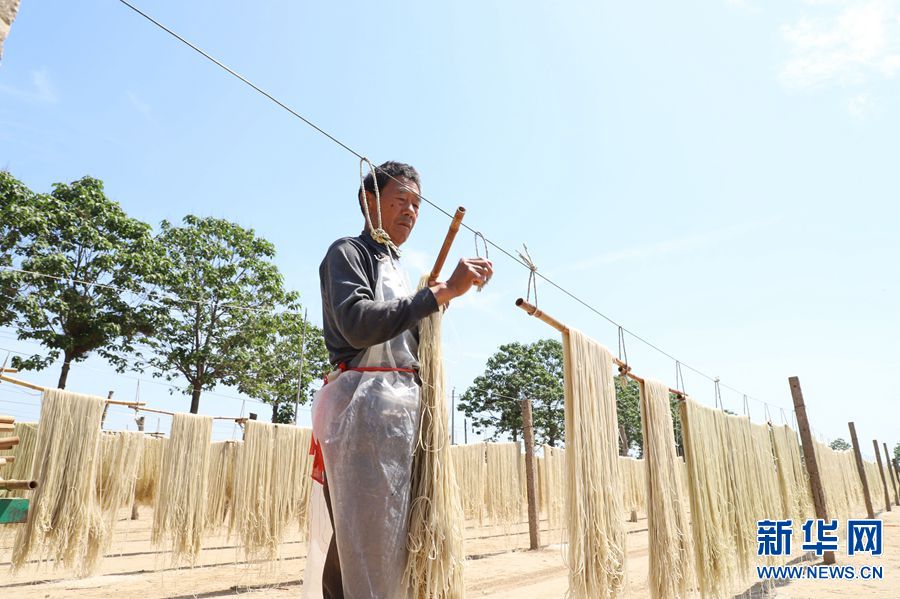 【焦點圖-大圖】【移動端-輪播圖】河南民權：粉條鋪就致富路