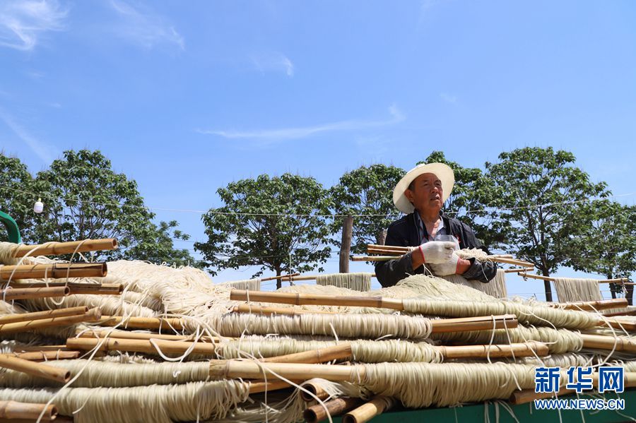 【焦點圖-大圖】【移動端-輪播圖】河南民權：粉條鋪就致富路