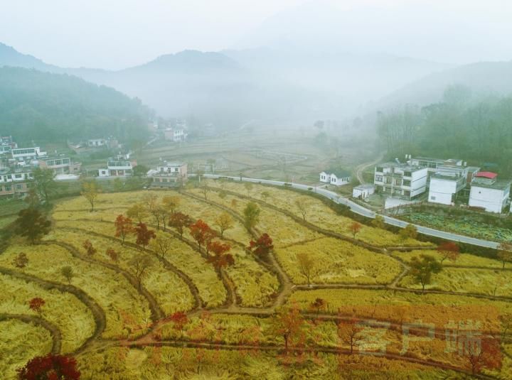 河南信陽：多彩鄉村裏羅城