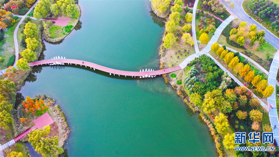 河南許昌：初冬芙蓉湖畔景色美