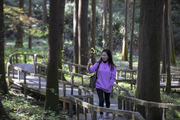 信陽雞公山腳下 初冬的這個公園五彩斑斕