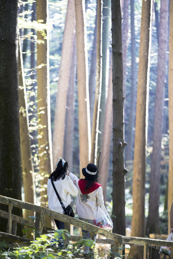 信陽雞公山腳下 初冬的這個公園五彩斑斕