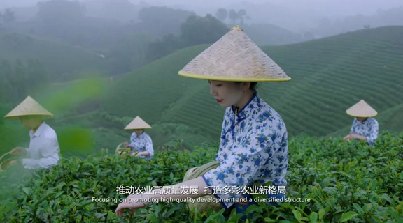 【焦點圖-大圖】【 移動端-輪播圖】【視頻-圖片】“中國共産黨的故事——習近平新時代中國特色社會主義思想在河南的實踐——鄉村振興”宣介會宣傳片發佈（頁面標題：鄉村振興宣介會宣傳片）