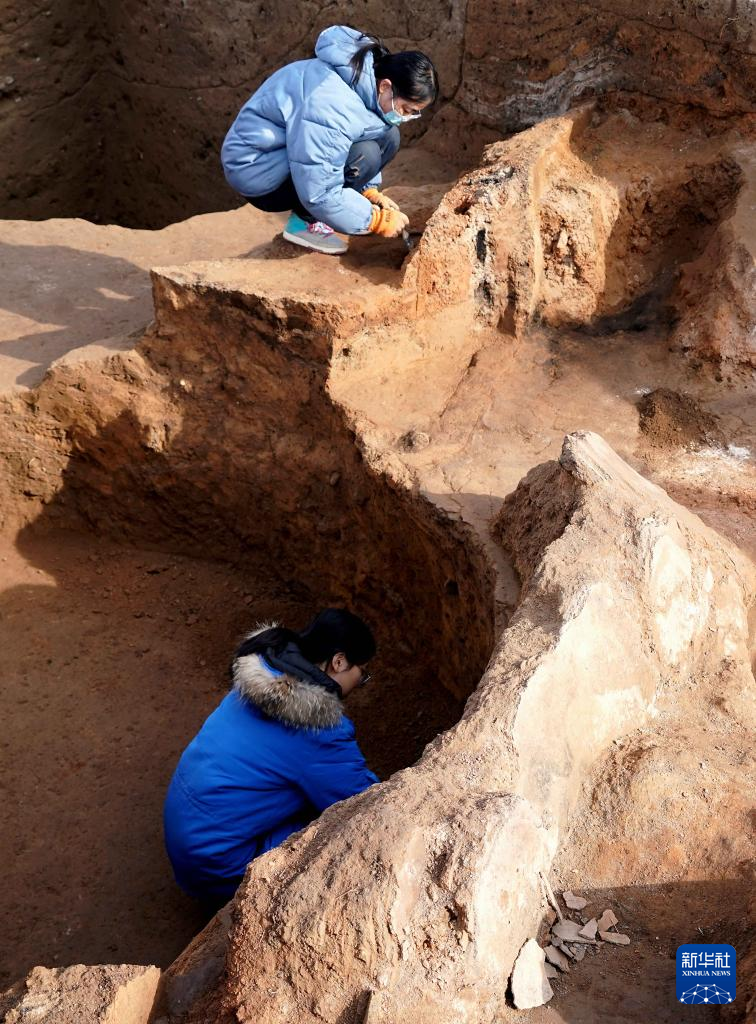 河南蘇羊遺址發現距今5000年前後多元文化交流重要實證