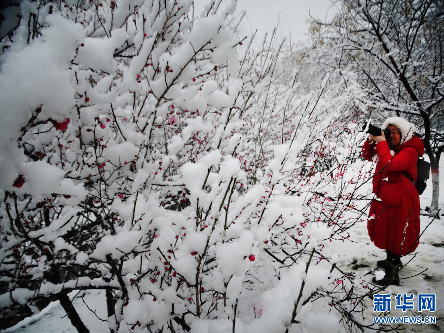 雪後汴京 景色迷人