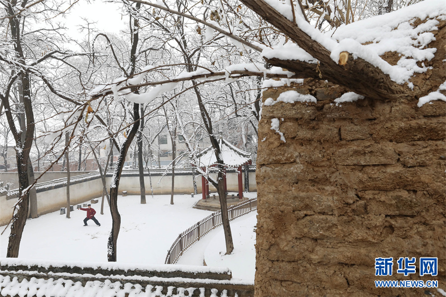 河南溫縣：雪後陳家溝