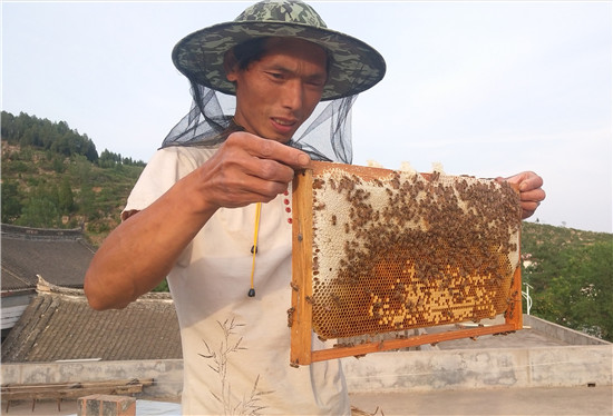 【B】河南省汝州市脫貧戶李紅彬：“養”出事業 “蜜”了生活