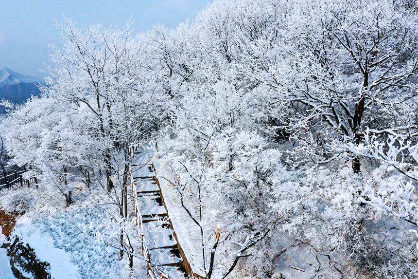 雲臺山“冬裝”：冰似晶簾山壁挂 奔流瀑布卻不前