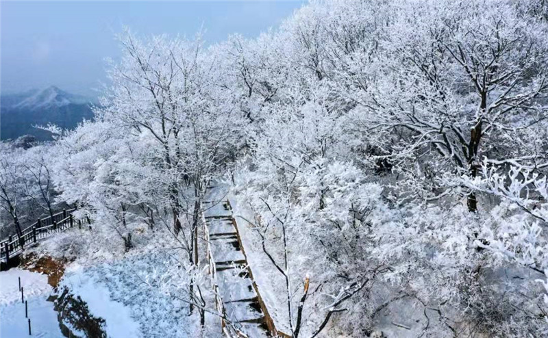 河南雲臺山景區迎來2022年首場大雪_fororder_微信圖片_20220105122455