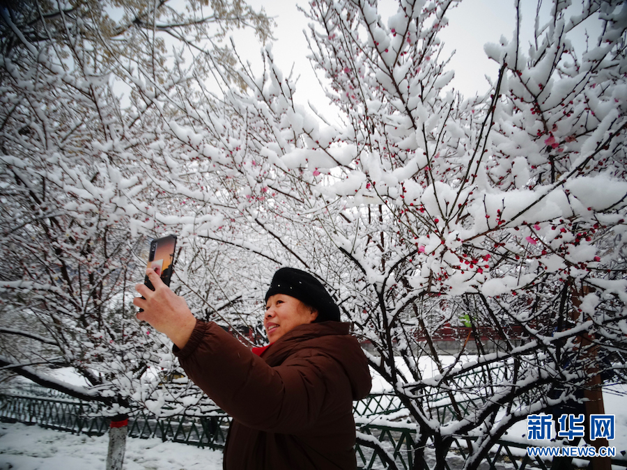 雪後汴京 景色迷人