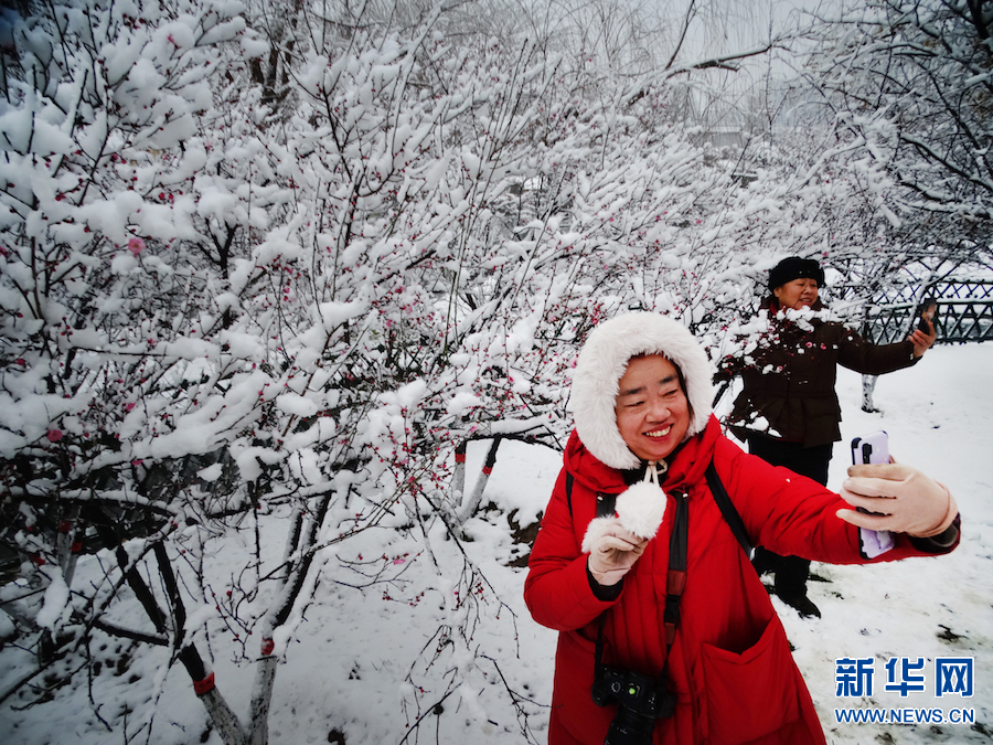 雪後汴京 景色迷人