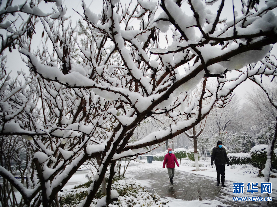 雪後汴京 景色迷人