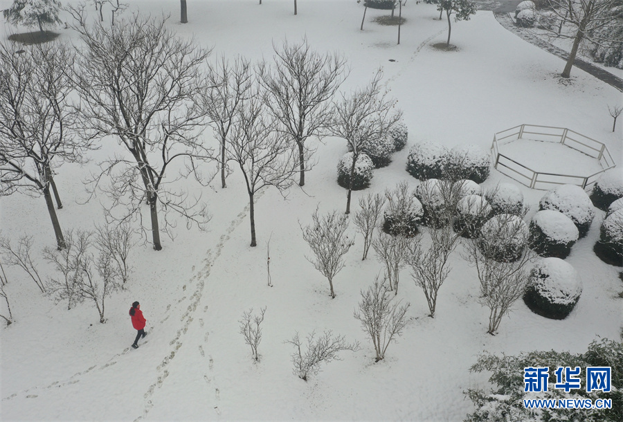 河南溫縣：雪後陳家溝