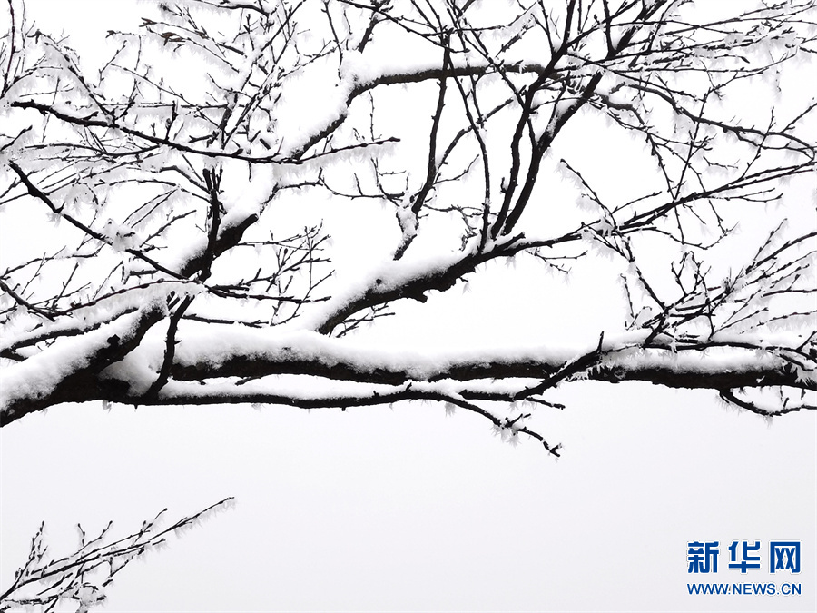 平頂山堯山：雪後峰林白 山深景色美