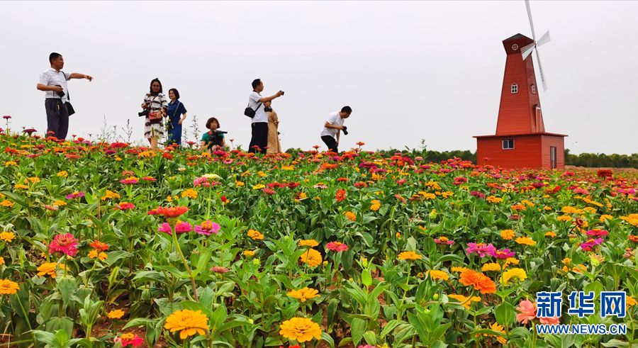 【城市遠洋】【焦點圖-大圖】【移動端-輪播圖】洛陽伊川：厚植發展優勢 盤活溝域經濟