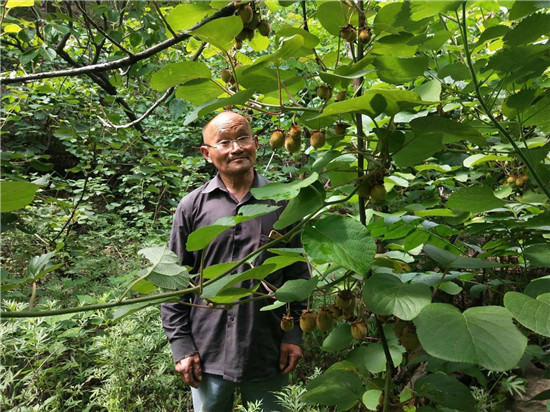 【B】平頂山市魯山縣五保戶柳學理：七旬老漢自力更生摘窮帽