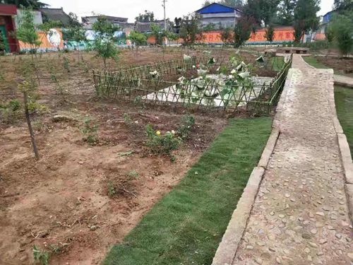 【河南供稿】平頂山市魯山縣勤儉節約建遊園