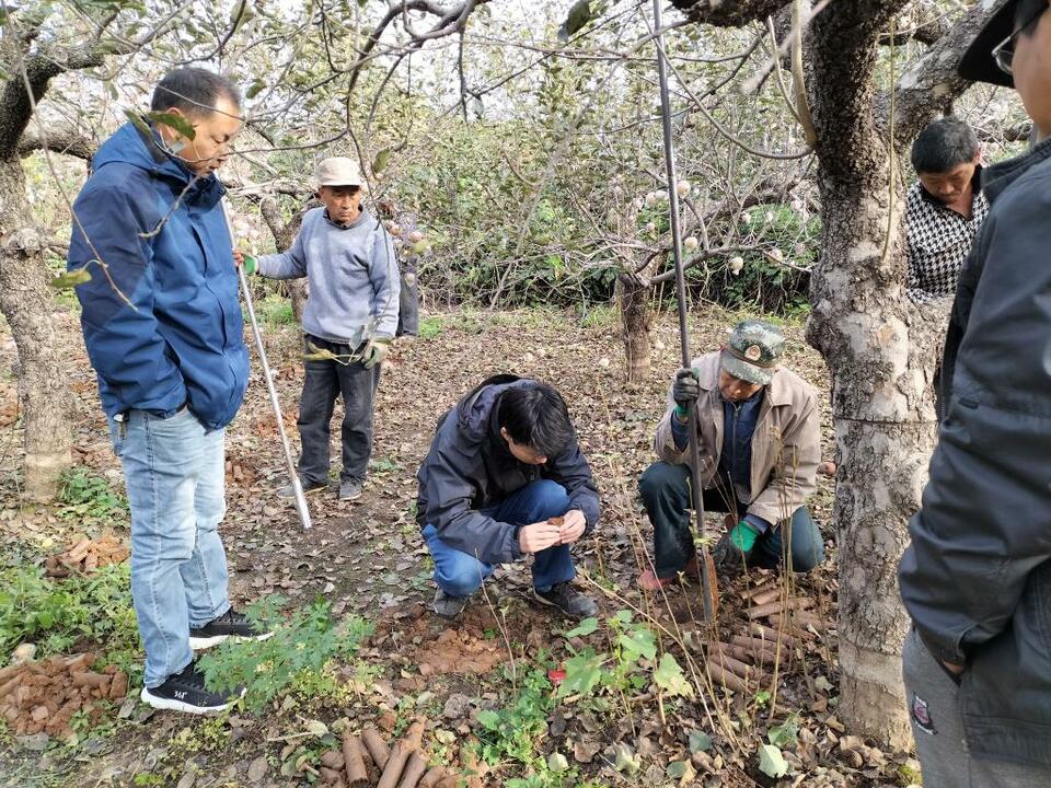 殷墟商王陵區新發現圍溝及400余座祭祀坑