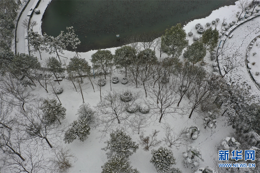 雪落中原如詩畫