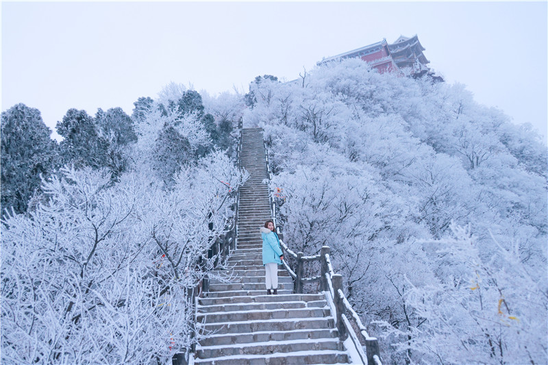 河南雲臺山雪山雲海喜迎小年_fororder_微信圖片_20220125154110