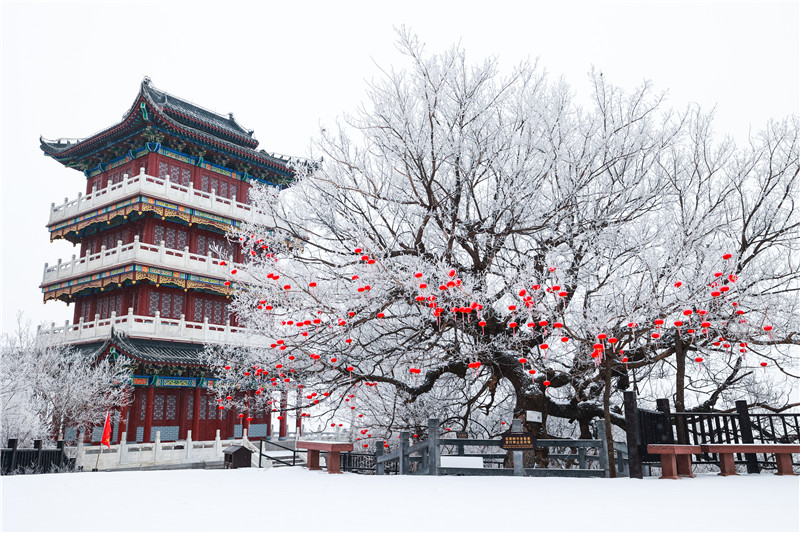 河南雲臺山雪山雲海喜迎小年_fororder_微信圖片_20220125154046