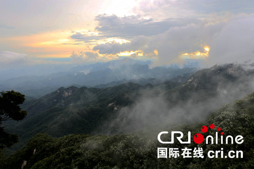 【河南原創】2019“老家河南媒體·南召采風行”走進南陽市五朵山景區