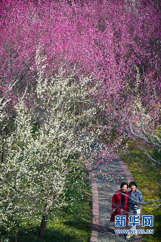 洛陽：春日遊園賞花正當時