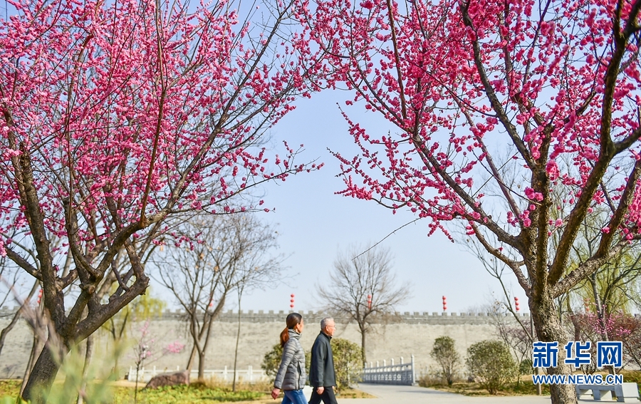 洛陽：春日遊園賞花正當時