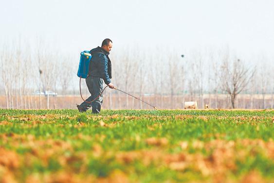 河南開封：春回大地農耕忙