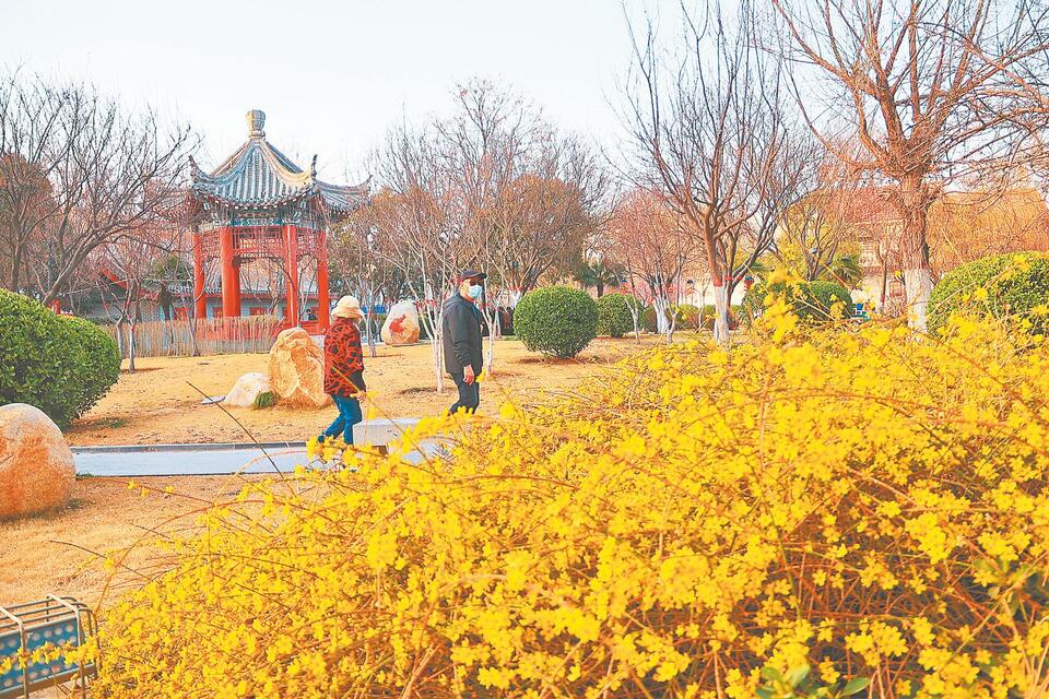 河南開封：春暖花開日 賞花正當時