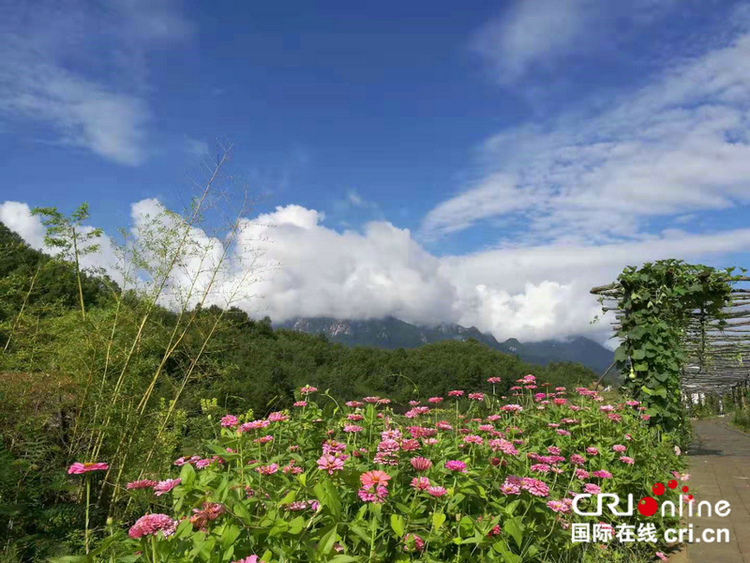 【河南原創】以愛之名傳承千年 數萬人赴河南魯山度浪漫七夕