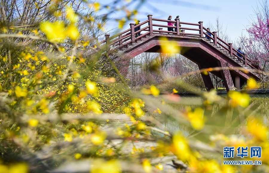 洛陽：春日遊園賞花正當時