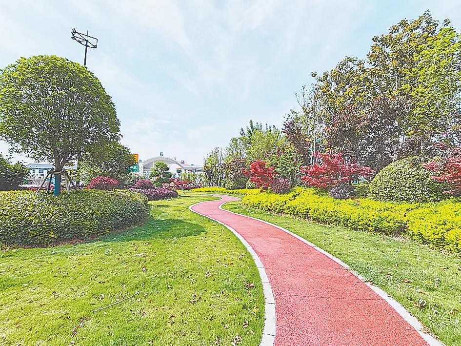 “繡花”建設大園林 雕琢生態開封城