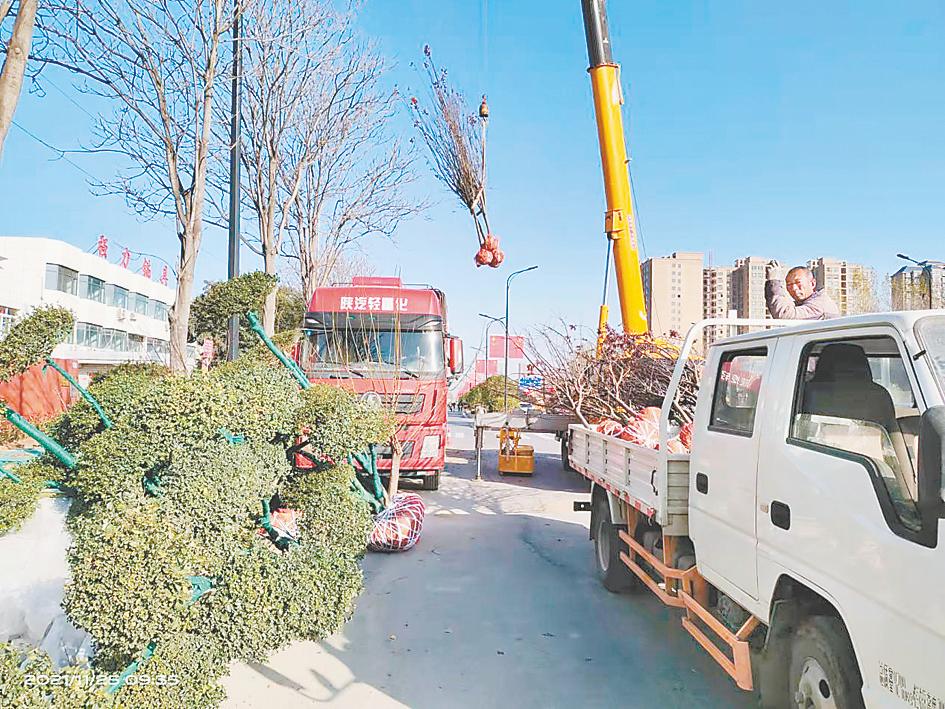 “繡花”建設大園林 雕琢生態開封城