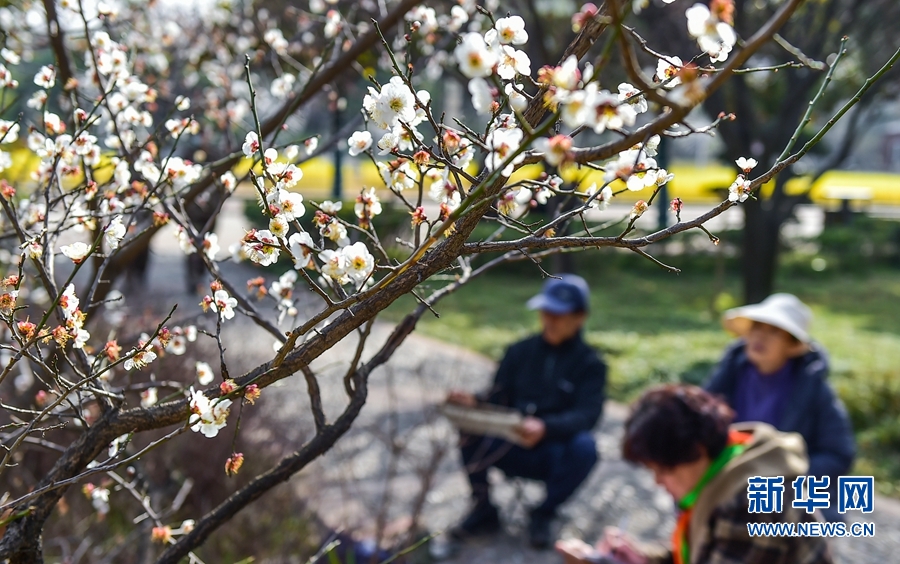 洛陽：春日遊園賞花正當時